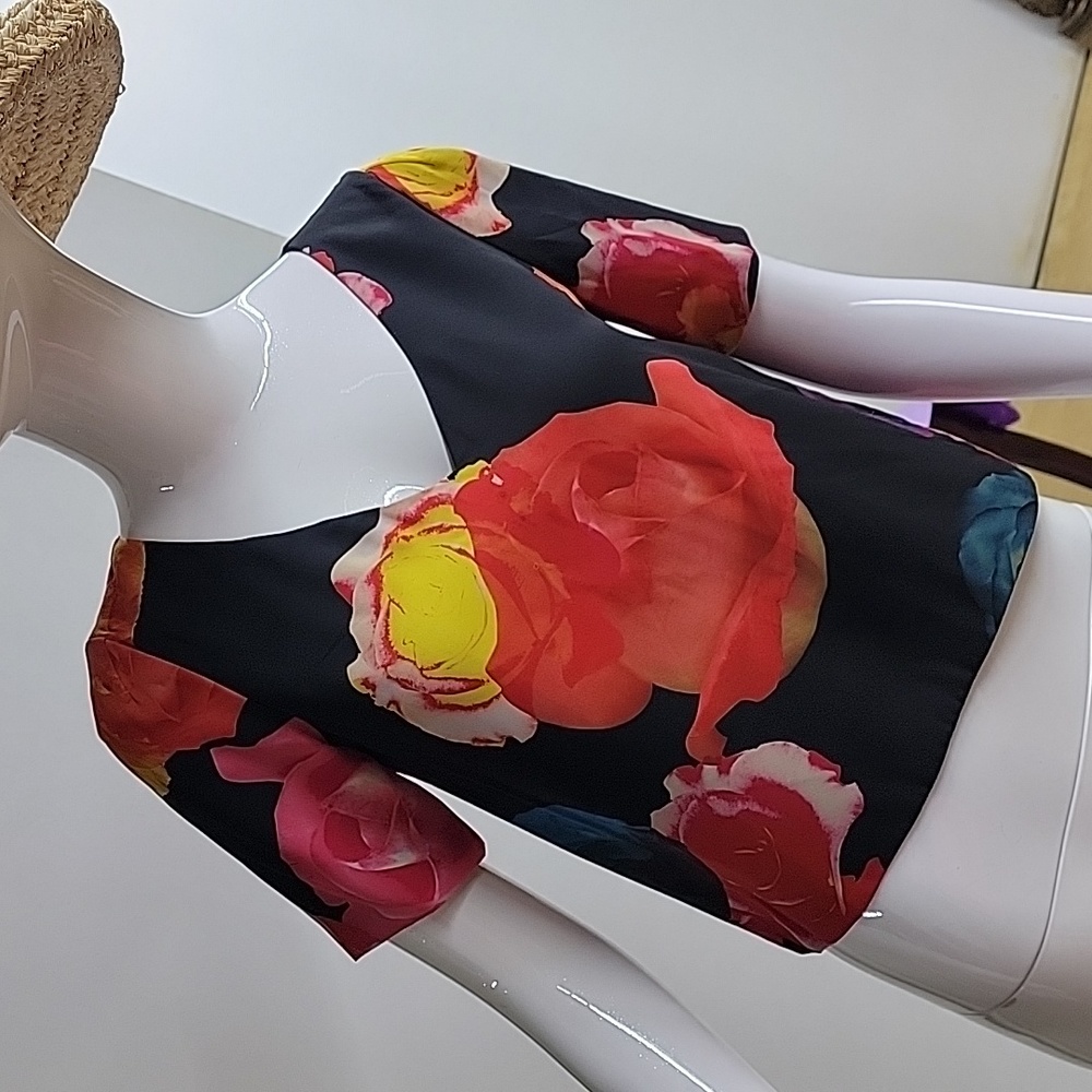 NWOT Babaton Aritzia Size XXS Randy Blouse Multicolor Floral Cropped